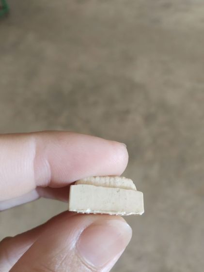 พระเนื้อผงผสมว่าน(พระรูปเหมือนพระหลวงปู่ทวดหลังอักขระ(วัดช้างให้จังหวัดปัตตานี)(เนื้อผงพุทธคุณ)(230409))พระเครื่องรางของมงคล รูปที่ 15