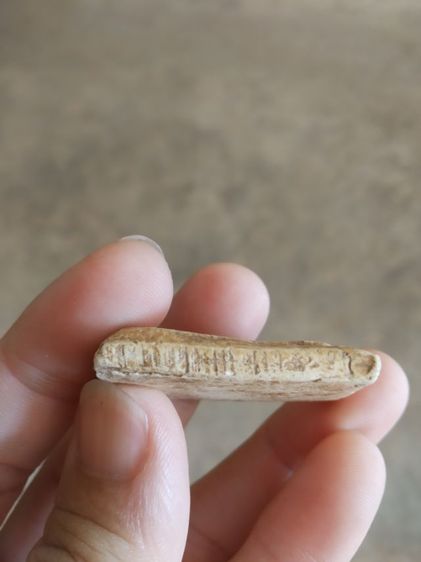 พระเนื้อว่านผสมผง(พระพิมพ์พระสมเด็จหลังเรียบ(230413)(ไม่ทราบพระเกจิที่สร้าง)(ไม่ค่อยสวย)(ไม่ทราบรุ่นและอายุ))พระบ้านพระเครื่องรางของมงคล รูปที่ 12