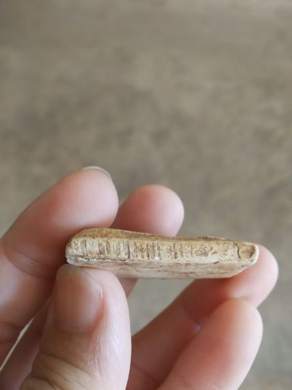 พระเนื้อว่านผสมผง(พระพิมพ์พระสมเด็จหลังเรียบ(230413)(ไม่ทราบพระเกจิที่สร้าง)(ไม่ค่อยสวย)(ไม่ทราบรุ่นและอายุ))พระบ้านพระเครื่องรางของมงคล รูปที่ 13