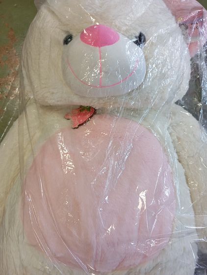 ขายตุ๊กตาหมี ขนาดใหญ่พิเศษ Extra large teddy bear for sale รูปที่ 6