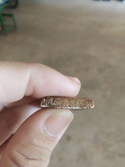 พระเนื้อว่านผสมผง(พระพิมพ์พระสมเด็จหลังเรียบเนื้อออกสีน้ำตาลเข้ม(ไม่ทราบพระเกจิที่สร้าง)(240428)(ไม่ทราบรุ่นและอายุ))พระเครื่องรางของมงคล รูปที่ 12