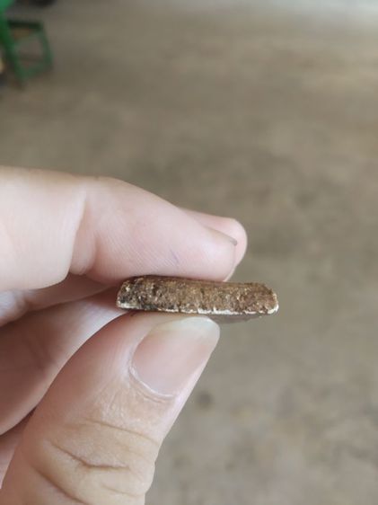 พระเนื้อว่านผสมผง(พระพิมพ์พระสมเด็จหลังเรียบเนื้อออกสีน้ำตาลเข้ม(ไม่ทราบพระเกจิที่สร้าง)(240428)(ไม่ทราบรุ่นและอายุ))พระเครื่องรางของมงคล รูปที่ 10