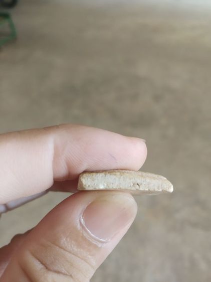 พระเนื้อว่านผสมผง(พระพิมพ์พระสมเด็จหลังเรียบเนื้อออกเหลืองขาวเล็กน้อย(ไม่ทราบพระเกจิที่สร้าง)(240429))พระบ้านพระเครื่องรางของมงคล รูปที่ 16