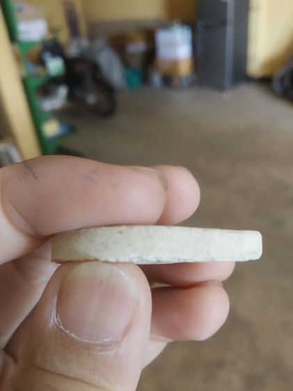 พระเนื้อผงผสมว่านทรงดอกบัว(พระรูปเหมือนพระหลวงปู่ทวด(วัดธรรมาราม)(กฐิน59)(จังหวัดพระนครศรีอยุธยา))พระบ้านพระเครื่องรางของมงคล รูปที่ 12