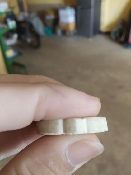 พระเนื้อผงผสมว่านทรงดอกบัว(พระรูปเหมือนพระหลวงปู่ทวด(วัดธรรมาราม)(กฐิน59)(จังหวัดพระนครศรีอยุธยา))พระบ้านพระเครื่องรางของมงคล รูปที่ 16