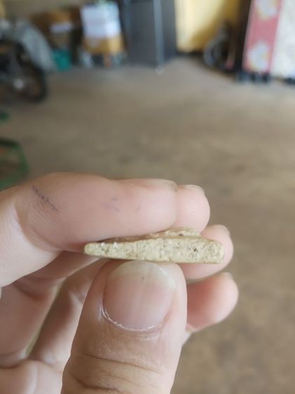 พระเนื้อว่านผสมผง(พระพิมพ์พระนางพญาหลังเรียบเนื้อออกขาวเหลือง(250410)(ไม่ทราบพระเกจิที่สร้าง)(ไม่ทราบอายุและรุ่น))พระเครื่องรางของมงคล รูปที่ 14