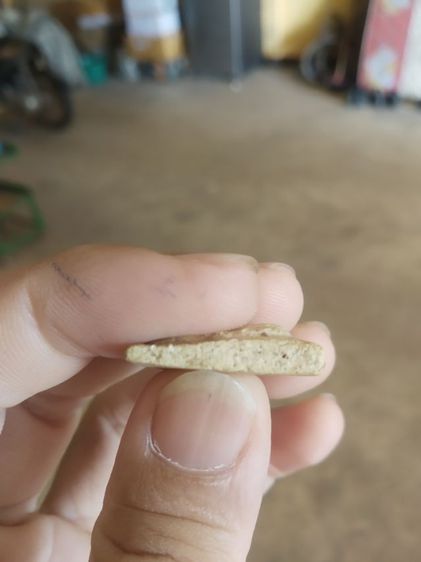 พระเนื้อว่านผสมผง(พระพิมพ์พระนางพญาหลังเรียบเนื้อออกขาวเหลือง(250410)(ไม่ทราบพระเกจิที่สร้าง)(ไม่ทราบอายุและรุ่น))พระเครื่องรางของมงคล รูปที่ 16