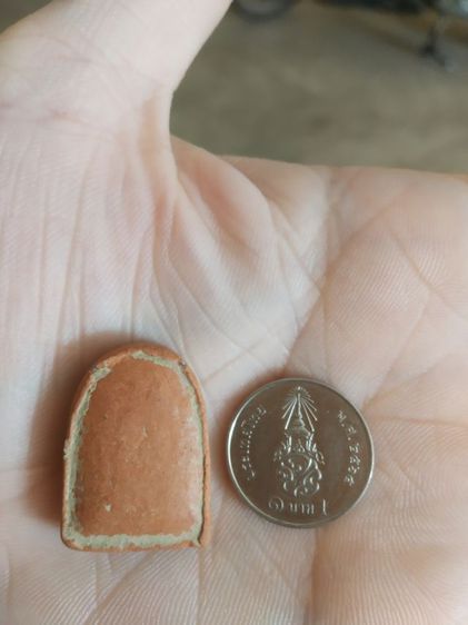 พระเนื้อดิน(พระพิมพ์พระซุ้มกอหลังเรียบเนื้อออกสีส้ม(พระใหม่ไม่ทราบพระเกจิที่สร้าง)(ไม่ทราบรุ่นและอายุ)(260402))พระบ้านพระเครื่องรางของมงคล รูปที่ 17