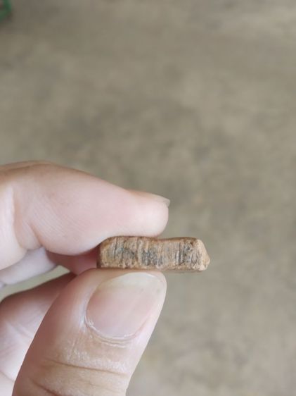 พระเนื้อดินพิมพ์กลาง(พระพิมพ์พระซุ้มกอหลังเรียบเนื้อออกสีน้ำตาลเข้ม(ไม่ทราบพระเกจิที่สร้าง)(ไม่ทราบอายุและรุ่น)(260406))พระเครื่องรางของมงคล รูปที่ 16