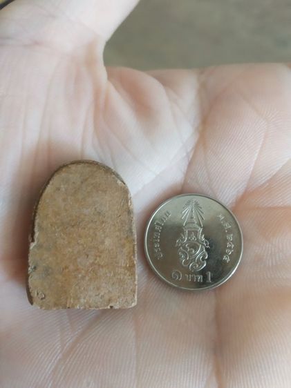 พระเนื้อดินพิมพ์กลาง(พระพิมพ์พระซุ้มกอหลังเรียบเนื้อออกสีน้ำตาลเข้ม(ไม่ทราบพระเกจิที่สร้าง)(ไม่ทราบอายุและรุ่น)(260406))พระเครื่องรางของมงคล รูปที่ 2