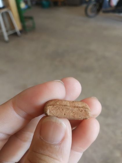 พระเนื้อดิน(พระพิมพ์พระนางพญาหลังลักษณะคล้ายลายผ้า(พระใหม่ไม่ทราบพระเกจิที่สร้าง)(ไม่ทราบอายุและรุ่น)(260407))พระบ้านพระเครื่องรางของมงคล รูปที่ 18