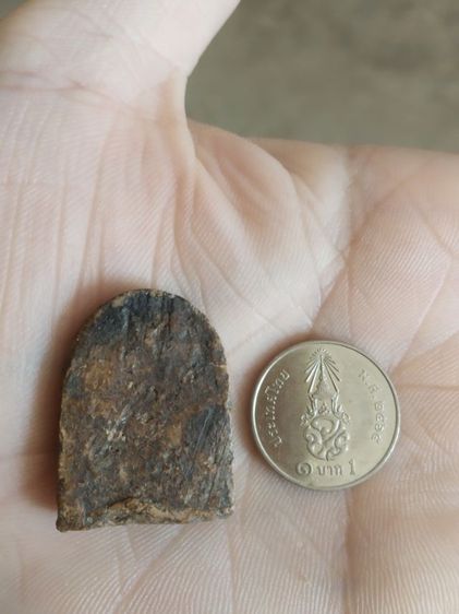 พระเนื้อดินพิมพ์กลาง(พระพิมพ์พระซุ้มกอหลังเรียบเนื้อออกสีดำแดง(ไม่ทราบพระเกจิที่สร้าง)(ไม่ทราบรุ่นและอายุ)(260409))พระเครื่องรางของมงคล รูปที่ 12