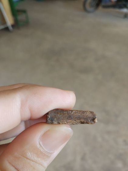 พระเนื้อดินพิมพ์กลาง(พระพิมพ์พระซุ้มกอหลังเรียบเนื้อออกสีดำแดง(ไม่ทราบพระเกจิที่สร้าง)(ไม่ทราบรุ่นและอายุ)(260409))พระเครื่องรางของมงคล รูปที่ 15