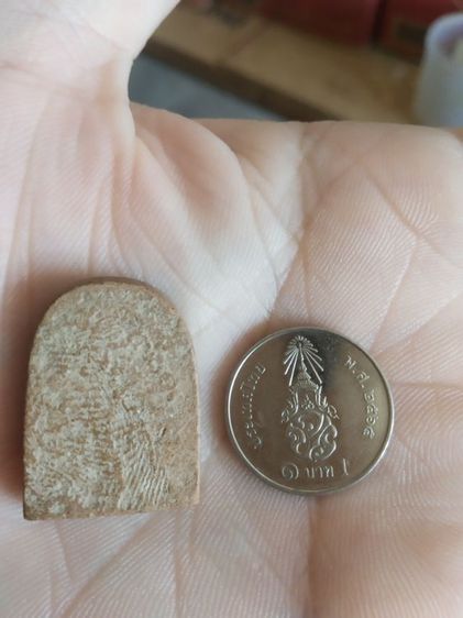 พระเนื้อดินพิมพ์กลาง(พระพิมพ์พระซุ้มกอหลังเรียบเนื้อออกสีน้ำตาล(พระใหม่ไม่ทราบเกจิที่สร้าง)(260413)(ไม่ทราบรุ่นและอายุ))พระเครื่องรางของมงคล รูปที่ 8