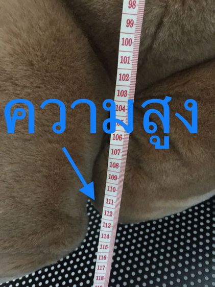 ขายตุ๊กตาหมีสูง 110 ซม  rainflower ของแท้ สภาพดี ใช้โชว์ ซักเครื่องซักผ้าได้ เจ้าของขายเอง  รูปที่ 7