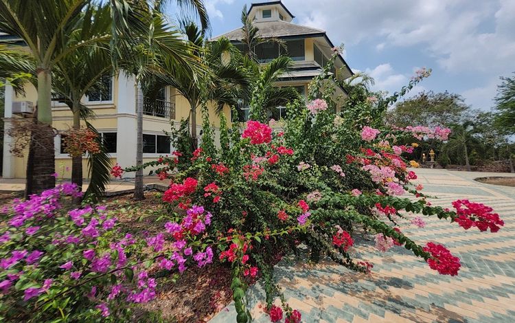 ไม่ใช่ ขายบ้านพร้อมที่ดินริมแม่น้ำบางปะกง 11-2-89 ไร่ ราคา 39 ลบ.เจ้าของขายเองเจรจาได้ รูปที่ 4