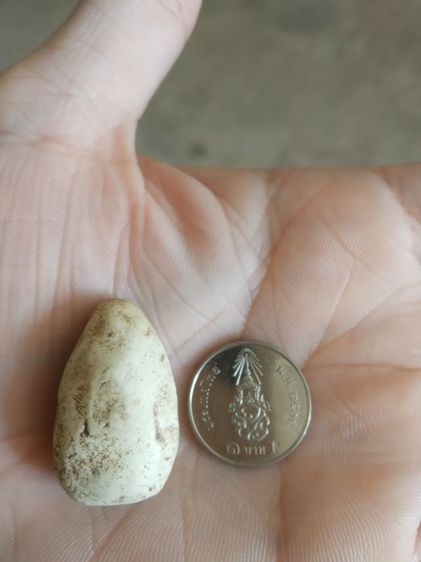 พระเนื้อว่านผสมผง(พระพิมพ์พระพุทธนั่งปางสมาธิหรือพิมพ์ตุ๊กตา(ไม่ทราบพระเกจิที่สร้าง)(270401)(ไม่ทราบอายุและรุ่น))พระบ้านพระเครื่องรางของมงคล รูปที่ 5