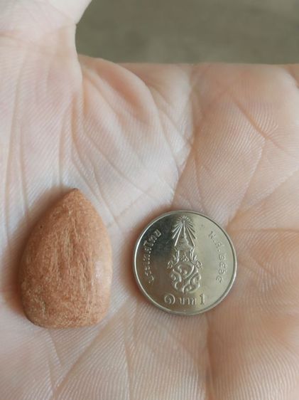 พระเนื้อดินพิมพ์เล็ก(พระพิมพ์เจ้าสัวน้อยหรือพระกลีบบัว(พระใหม่ไม่ทราบพระเกจิที่สร้าง)(270402)(ไม่ทราบอายุและรุ่น))พระเครื่องรางของมงคล รูปที่ 8