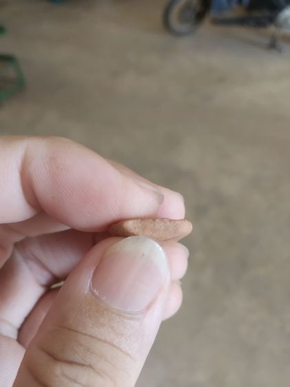 พระเนื้อดินพิมพ์เล็ก(พระพิมพ์พระกลีบบัวหรือพระเจ้าสัวน้อย(พระใหม่ไม่ทราบพระเกจิที่สร้าง)(ไม่ทราบรุ่นและอายุ)(270403))พระเครื่องรางของมงคล รูปที่ 16