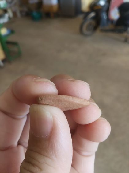 พระเนื้อดินพิมพ์เล็ก(พระพิมพ์พระกลีบบัวหรือพระเจ้าสัวน้อย(พระใหม่ไม่ทราบพระเกจิที่สร้าง)(ไม่ทราบรุ่นและอายุ)(270403))พระเครื่องรางของมงคล รูปที่ 10