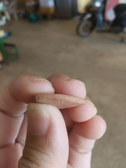 พระเนื้อดินพิมพ์เล็ก(พระพิมพ์พระกลีบบัวหรือพระเจ้าสัวน้อย(พระใหม่ไม่ทราบพระเกจิที่สร้าง)(ไม่ทราบรุ่นและอายุ)(270403))พระเครื่องรางของมงคล รูปที่ 9