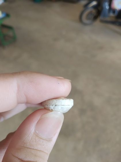 พระเนื้อว่านผสมผง(พระพิมพ์พระวันทาเสมาหลังเรียบ(พระใหม่ไม่ทราบพระเกจิที่สร้าง)(ไม่ทราบรุ่นและอายุ)(270405))พระเครื่องรางของมงคลพระบ้าน รูปที่ 16