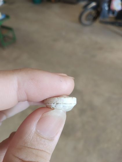 พระเนื้อว่านผสมผง(พระพิมพ์พระวันทาเสมาหลังเรียบ(พระใหม่ไม่ทราบพระเกจิที่สร้าง)(ไม่ทราบรุ่นและอายุ)(270405))พระเครื่องรางของมงคลพระบ้าน รูปที่ 17