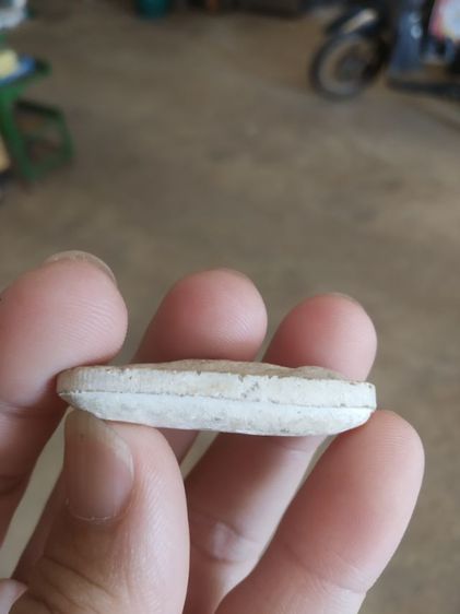 พระเนื้อว่านผสมผง(พระพิมพ์พระวันทาเสมาหลังเรียบ(พระใหม่ไม่ทราบพระเกจิที่สร้าง)(ไม่ทราบรุ่นและอายุ)(270405))พระเครื่องรางของมงคลพระบ้าน รูปที่ 15