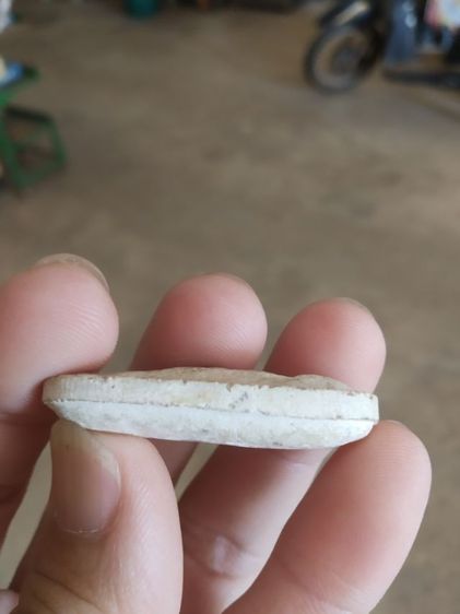 พระเนื้อว่านผสมผง(พระพิมพ์พระวันทาเสมาหลังเรียบ(พระใหม่ไม่ทราบพระเกจิที่สร้าง)(ไม่ทราบรุ่นและอายุ)(270405))พระเครื่องรางของมงคลพระบ้าน รูปที่ 12