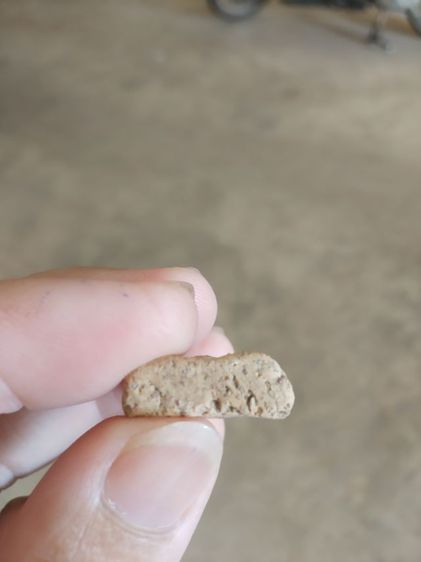 พระเนื้อดินพิมพ์กลาง(พระพิมพ์พระนางพญาหลังเรียบเนื้อออกสีน้ำตาลอ่อน(พระใหม่ไม่ทราบพระเกจิที่สร้าง)(ไม่ทราบรุ่น)(270408))พระเครื่องรางของมงคล รูปที่ 17