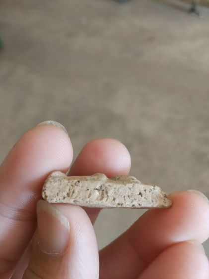 พระเนื้อดินพิมพ์กลาง(พระพิมพ์พระนางพญาหลังเรียบเนื้อออกสีน้ำตาลอ่อน(พระใหม่ไม่ทราบพระเกจิที่สร้าง)(ไม่ทราบรุ่น)(270408))พระเครื่องรางของมงคล รูปที่ 13