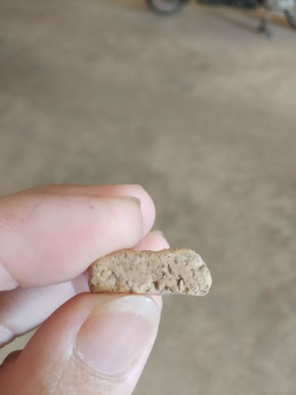 พระเนื้อดินพิมพ์กลาง(พระพิมพ์พระนางพญาหลังเรียบเนื้อออกสีน้ำตาลอ่อน(พระใหม่ไม่ทราบพระเกจิที่สร้าง)(ไม่ทราบรุ่น)(270408))พระเครื่องรางของมงคล รูปที่ 18