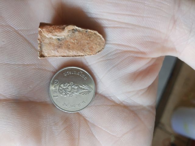 พระเนื้อดินพิมพ์เล็ก(พระพิมพ์พระรอดหลังเรียบเนื้อสีน้ำตาล(พระใหม่ไม่ทราบพระเกจิที่สร้าง)(ไม่ทราบรุ่นและอายุ)(270409))พระเครื่องรางของมงคล รูปที่ 12