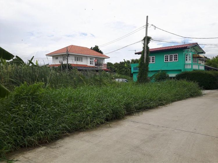 ขายที่ดินเปล่า 53 ตารางวา ซอยเฉลิมพระเกียรติ ร.๙ 61 (ซอยใจถึง) รูปที่ 2