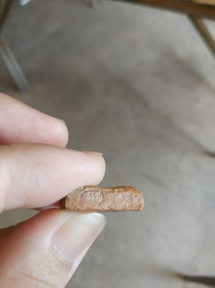 พระเนื้อดิน(พระพิมพ์พระซุ้มกอหลังเรียบสีน้ำตาลเข้ม(พระใหม่ไม่ทราบพระเกจิที่สร้าง)(ไม่ทราบอายุและรุ่น)(270421))พระบ้านพระเครื่องรางของมงคล รูปที่ 15