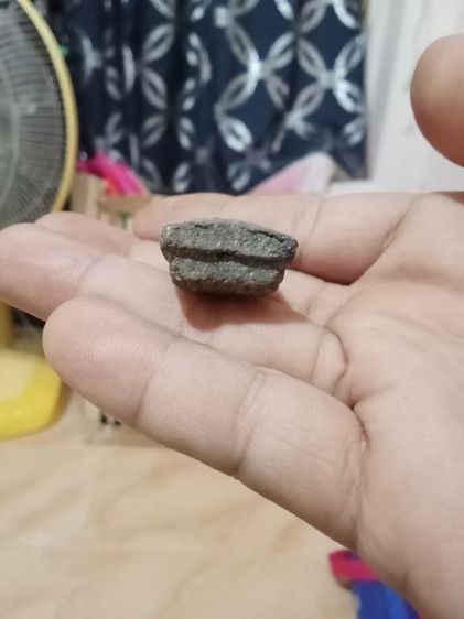 หลวงปู่ทวดเนื้อว่าน รูปที่ 7