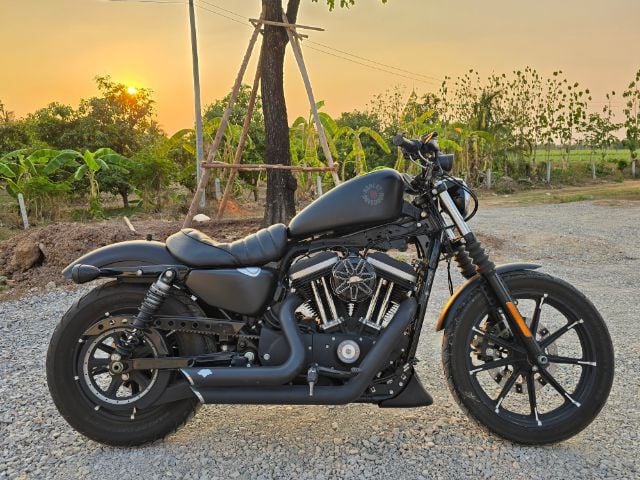Harley Davidson iron883 2019 