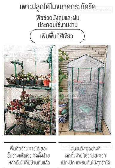 โรงเรือนเพาะชำ แบบสำเร็จรูป โรงเรือนแคคตัส โรงเรือนกระบองเพชร โรงเรือนกระบองเพชร Greenhouse โรงเรือนสำหรับปลูกต้นไม้ รูปที่ 4