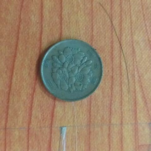 เหรียญเก่า ประเทศญี่ปุ่น100เยน เก็บสะสมไว้เป็นเหรียญเก่าหายากค่ะ   รูปที่ 2