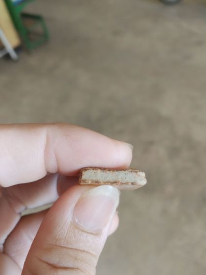 พระเนื้อดินพิมพ์กลาง(พระพิมพ์พระซุ้มกอหลังเรียบเนื้อออกสีส้ม(ไม่ทราบพระเกจิที่สร้าง)(ไม่ทราบรุ่นและอายุ)(280402))พระบ้านพระเครื่องรางของมงคล รูปที่ 14