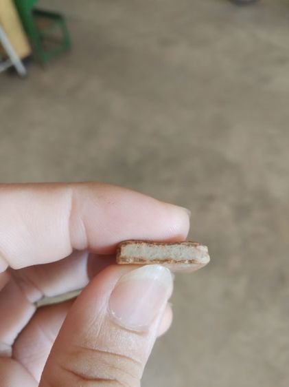 พระเนื้อดินพิมพ์กลาง(พระพิมพ์พระซุ้มกอหลังเรียบเนื้อออกสีส้ม(ไม่ทราบพระเกจิที่สร้าง)(ไม่ทราบรุ่นและอายุ)(280402))พระบ้านพระเครื่องรางของมงคล รูปที่ 18