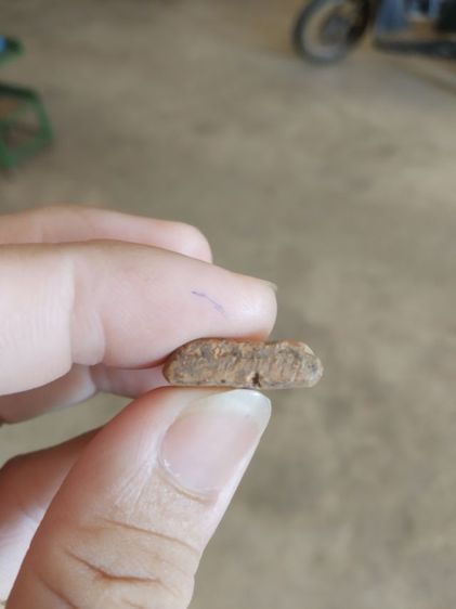 พระเนื้อดินพิมพ์กลาง(พระพิมพ์พระซุ้มกอหลังเรียบเนื้อออกสีน้ำตาลเข้ม(ไม่ทราบพระเกจิที่สร้างไม่ทราบอายุและรุ่น)(280405))พระเครื่องรางของมงคล รูปที่ 18