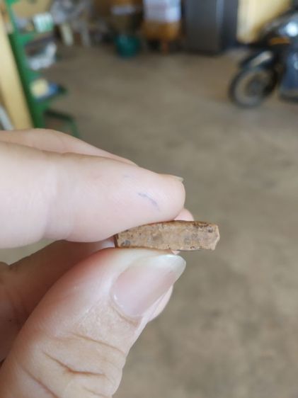 พระพระเนื้อดิน(พระพิมพ์พระซุ้มกอหลังเรียบ(ไม่ทราบพระเกจิที่สร้างไม่ทราบรุ่นและอายุ)(280406)สภาพไม่สวยขอคนรับได้)พระบ้านพระเครื่องรางของมงคล รูปที่ 18