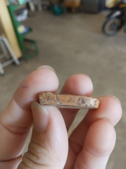 พระพระเนื้อดิน(พระพิมพ์พระซุ้มกอหลังเรียบ(ไม่ทราบพระเกจิที่สร้างไม่ทราบรุ่นและอายุ)(280406)สภาพไม่สวยขอคนรับได้)พระบ้านพระเครื่องรางของมงคล รูปที่ 13