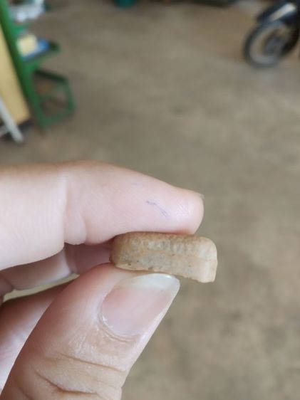 พระเนื้อดิน(พระพิมพ์พระซุ้มกอหลังเรียบหลังไม่ค่อยสวย(พระใหม่ไม่ทราบพระเกจิที่สร้าง)(ไม่ทราบรุ่น)(280407))พระบ้านพระเครื่องรางของมงคล รูปที่ 15