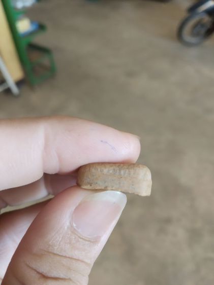 พระเนื้อดิน(พระพิมพ์พระซุ้มกอหลังเรียบหลังไม่ค่อยสวย(พระใหม่ไม่ทราบพระเกจิที่สร้าง)(ไม่ทราบรุ่น)(280407))พระบ้านพระเครื่องรางของมงคล รูปที่ 17