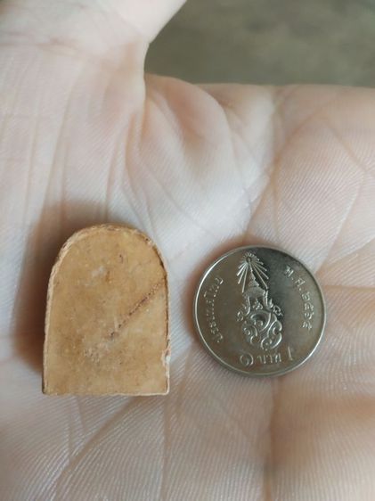 พระเนื้อดินพิมพ์กลาง(พระพิมพ์พระซุ้มกอหลังเรียบเนื้อสีน้ำตาลอ่อน(พระใหม่ไม่ทราบพระเกจิที่สร้าง)(280408))พระบ้านพระเครื่องรางของมงคล  รูปที่ 5