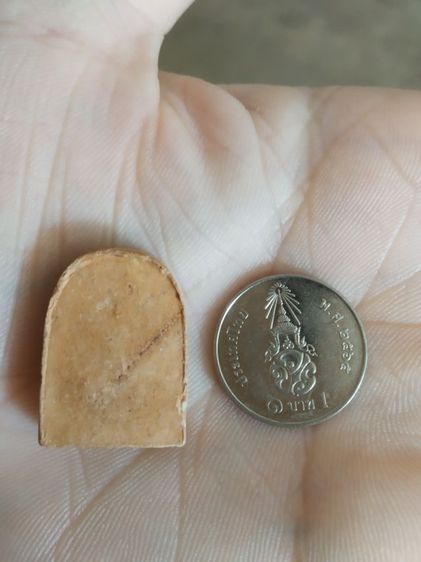 พระเนื้อดินพิมพ์กลาง(พระพิมพ์พระซุ้มกอหลังเรียบเนื้อสีน้ำตาลอ่อน(พระใหม่ไม่ทราบพระเกจิที่สร้าง)(280408))พระบ้านพระเครื่องรางของมงคล  รูปที่ 6