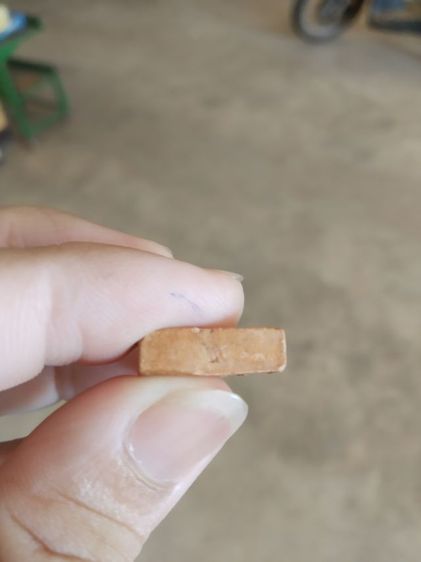 พระเนื้อดินพิมพ์กลาง(พระพิมพ์พระซุ้มกอหลังเรียบเนื้อสีน้ำตาลอ่อน(พระใหม่ไม่ทราบพระเกจิที่สร้าง)(280408))พระบ้านพระเครื่องรางของมงคล  รูปที่ 15