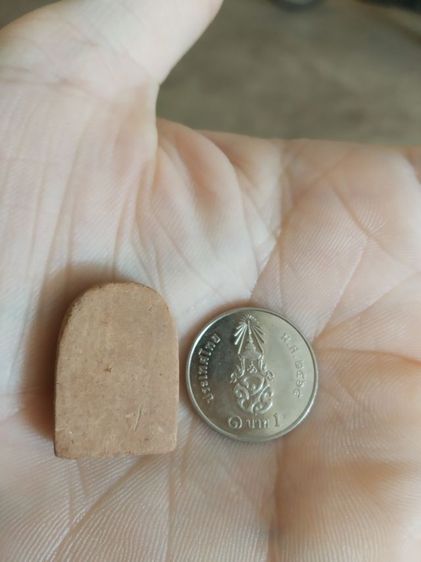 พระเนื้อดินพิมพ์เล็ก(ภาพพิมพ์พระซุ้มกอหลังเรียบ(พระใหม่ไม่ทราบพระเกจิที่สร้างไม่ทราบรุ่น)(280409))พระบ้านพระเครื่องรางของมงคล รูปที่ 12